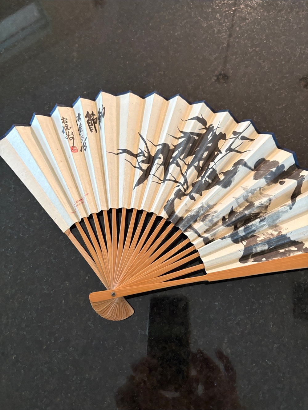 Decorative Folding Fan Wall Art - Cream and Black